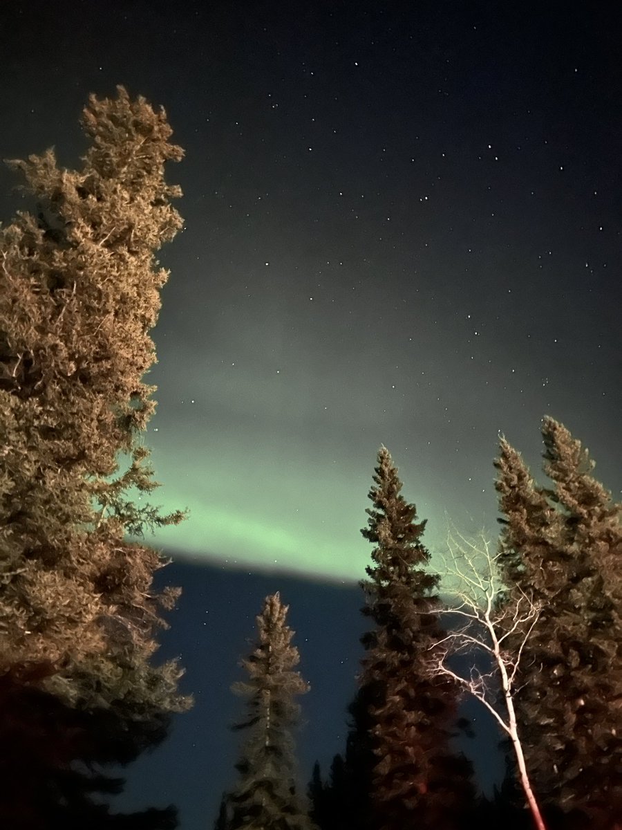 Jaime De Pippo (she/her) tweet media