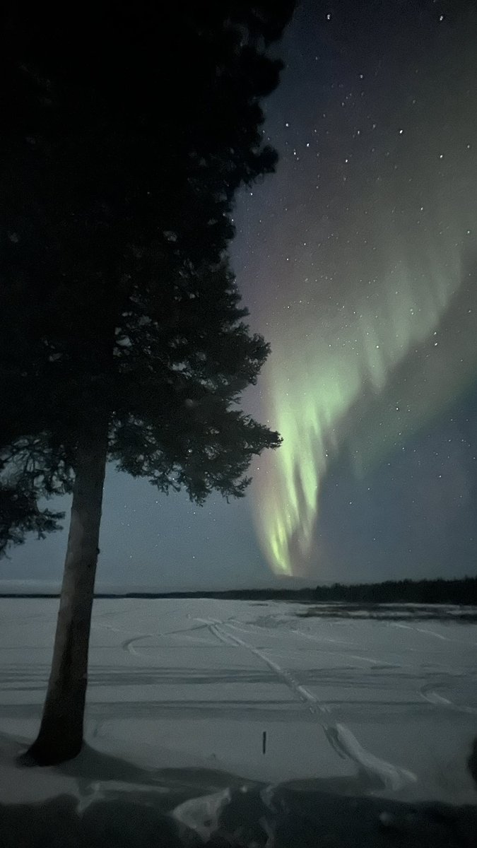 Jaime De Pippo (she/her) tweet media