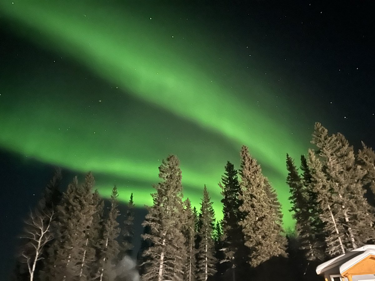 Jaime De Pippo (she/her) tweet media