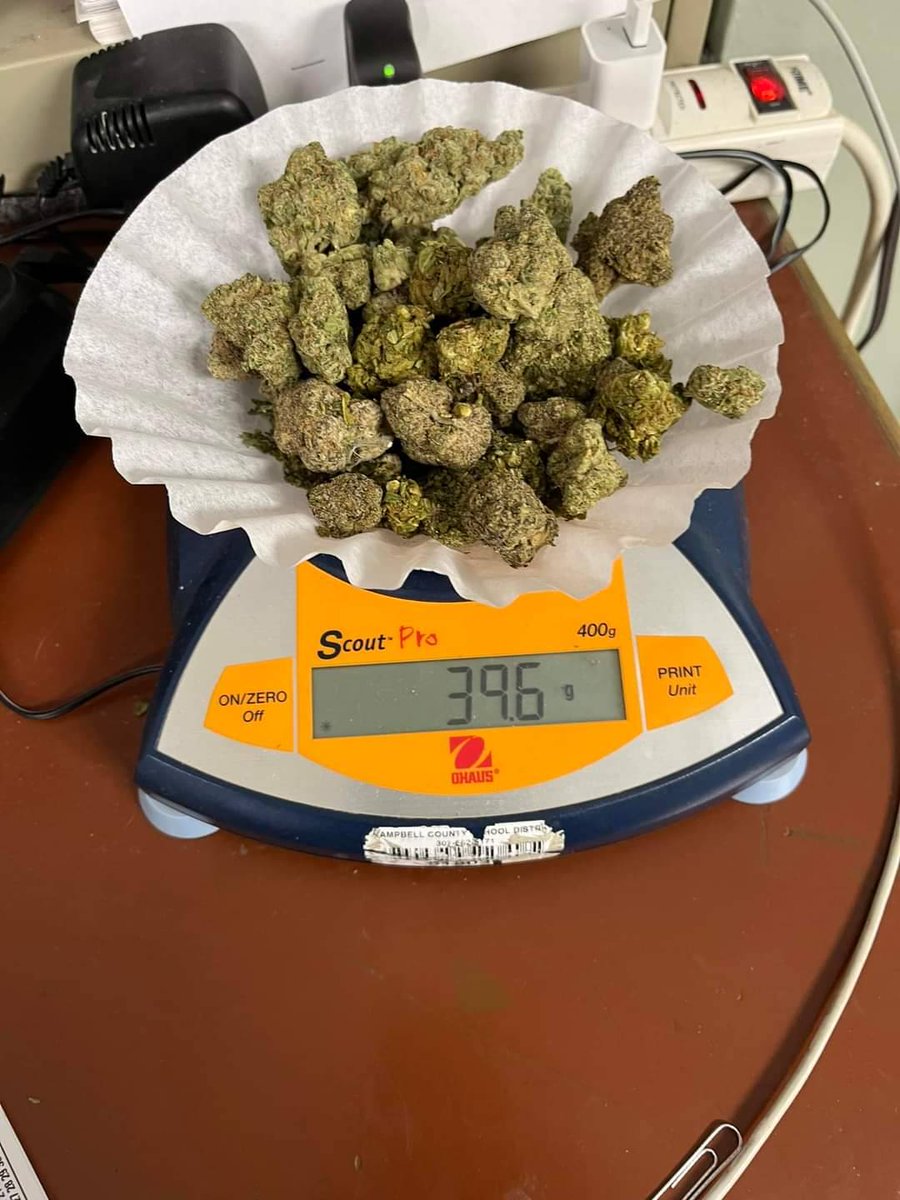 Tea Storm Chasers tweet media