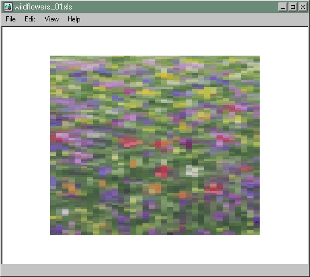 westonbetts's tweet image. Some flowers for Valentine’s Day 💐 🥀
“Bitchcoin #05.190” - @SarahMeyohas
“0x5EF” a “WILTEDROSE” - @dhof
“wildflowers_01.xls” - @evbuilds
“made these for your girl” - @lphaCentauriKid