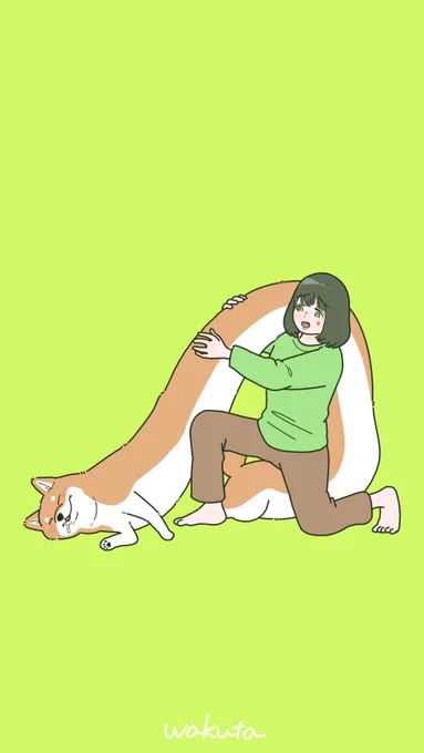 めっちゃ伸びた柴犬が全然起きない場合。#柴犬の場合 