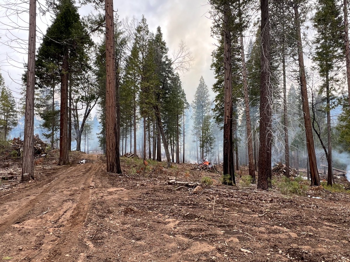 75 burn piles were complete in the Studhorse area today. Smoky conditions are expected in the Wawona community with active burning tomorrow (2/15). There are no ignitions planned Friday through the weekend. NPS photo/R. Mitchell smoke rising & flames showing on burn piles.