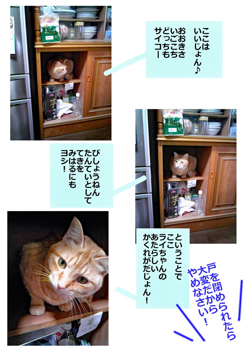美女しょこ写真マンガ、隠れ家にするじょ
お昼寝しょこライタと、さくれつライライパンチは、ページ数が多いので、アルファポリスにアップしたものを見て頂けるとうれしいです！
alphapolis.co.jp/manga/70431856…