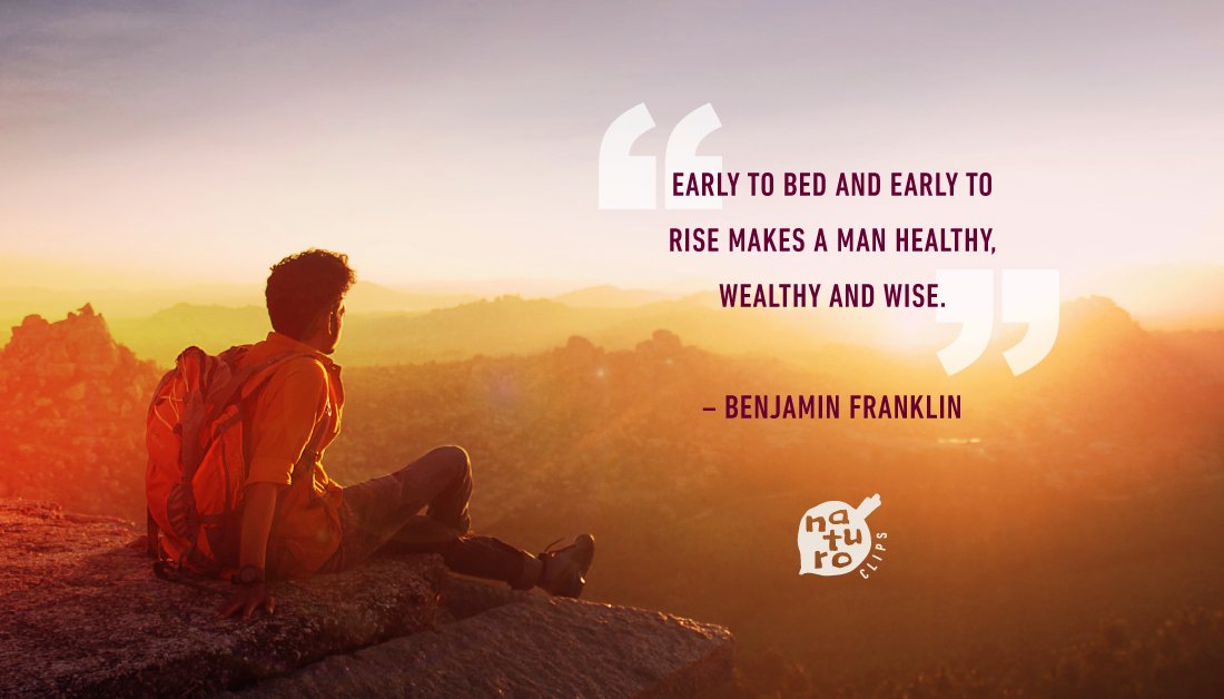 NaturoClips's tweet image. "Early to bed and early to rise makes a man #healthy, #wealthy and #wise."
~ Benjamin Franklin
#BenjaminFranklin #motivation #inspiration #quoteoftheday #HealthyLiving