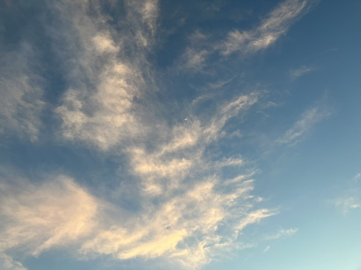 Biwarina's tweet photo. 2024.214 上弦のお月さま https://t.co/pkFxu6xbqZ