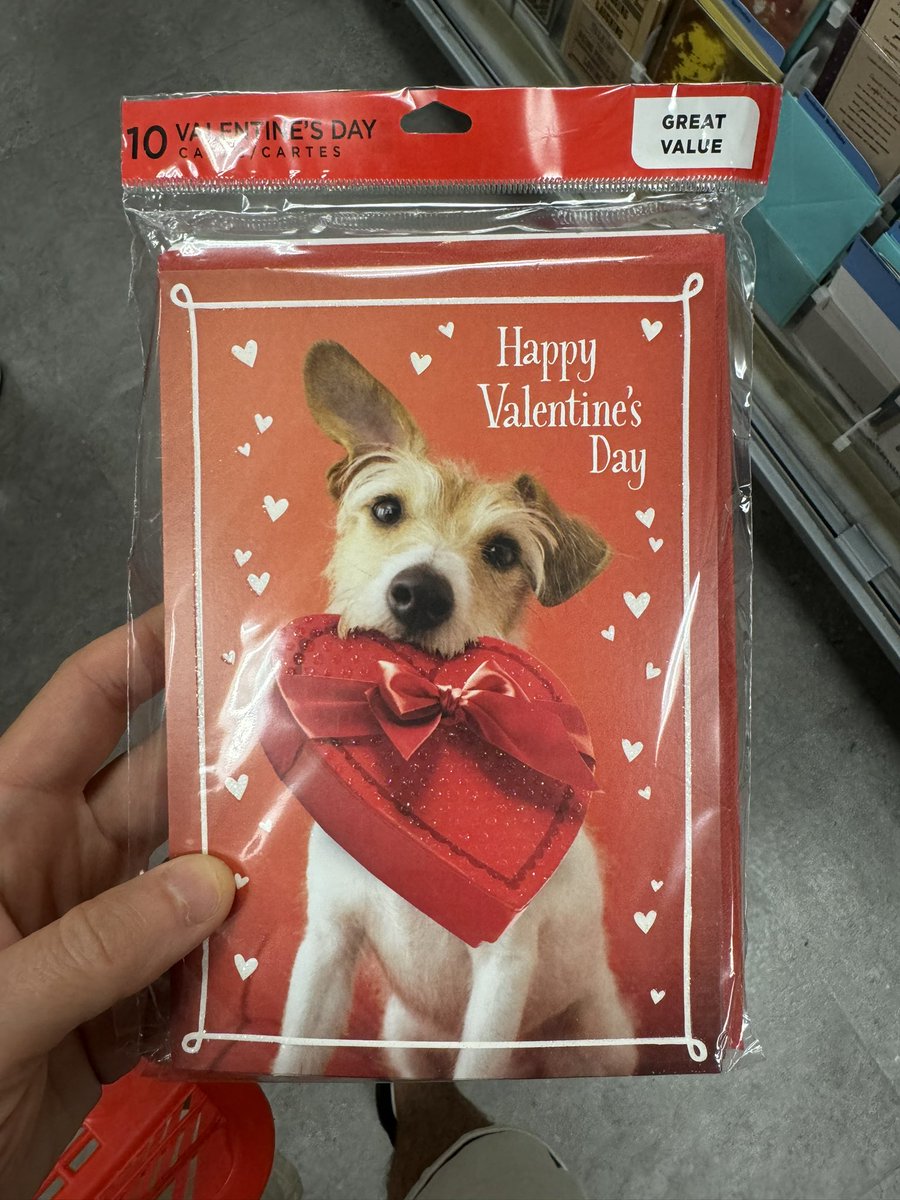 Interesting proposition at <a href="/cvspharmacy/">CVS Pharmacy</a>. A pack of 10 Valentine’s Day cards! There are 2 use cases for this product design. 1) you buy this and you are set for 10 years, 2) you have 10 simultaneous girlfriends/wives. 😂

It even says great value. This is hilarious
