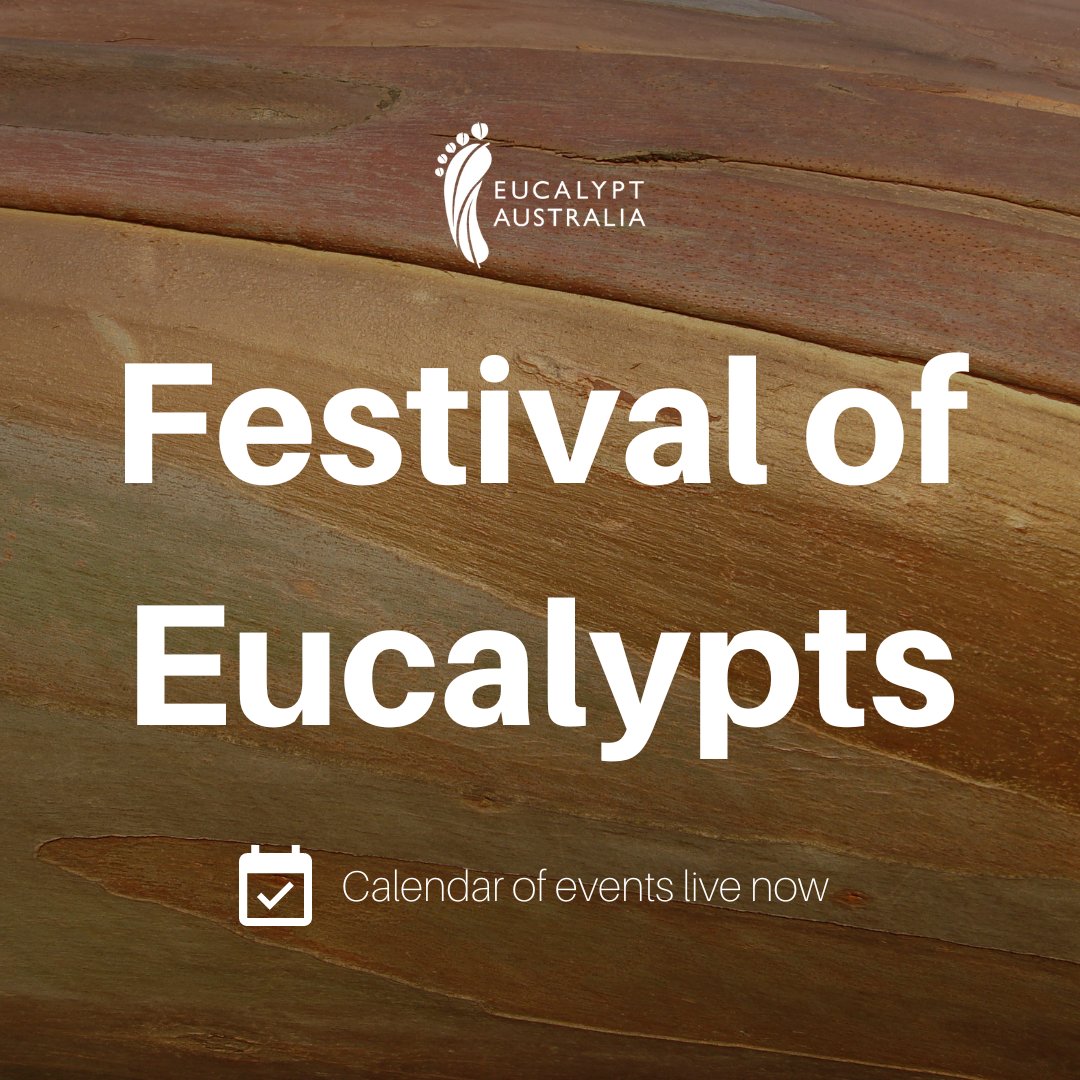 🗓 What's on in February, March and April for #NationalEucalyptDay? Our national calendar of events is live now and growing daily, with walks, talks, exhibitions and workshops for all ages! Check out the calendar:eucalyptaustralia.org.au/events/