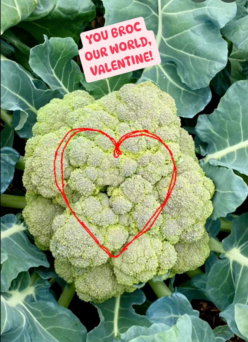 To all of our partners &amp; supporters on #ValentinesDay   - we are grateful for you!! ❤️
#foodrescue #FoodJustice #volunteers #community