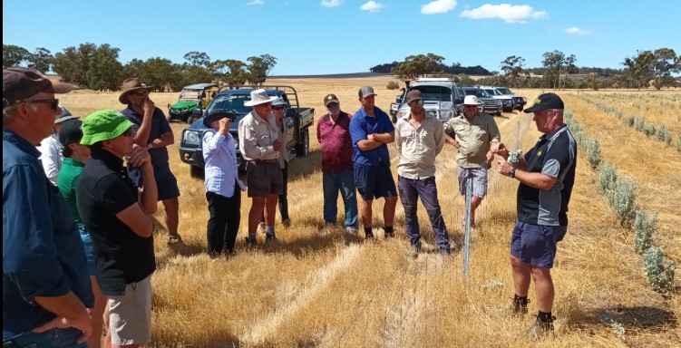 Mick Davis tweet media