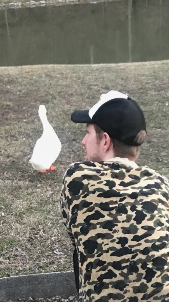 watsonmane's tweet image. #DUCKED #OFF