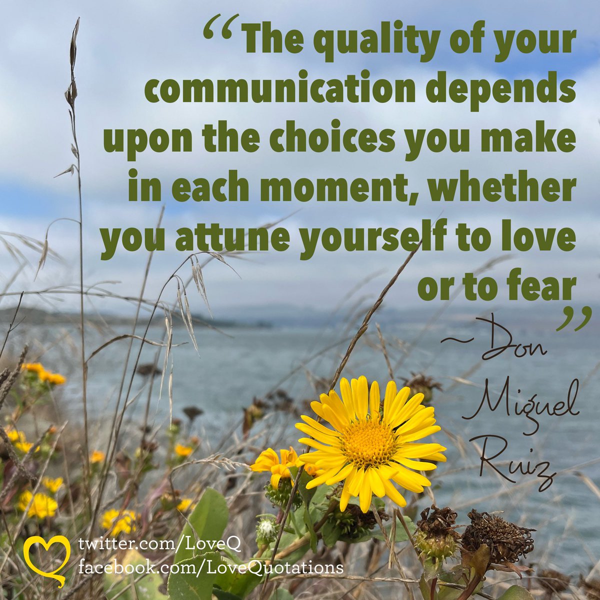 Love Quotes tweet media