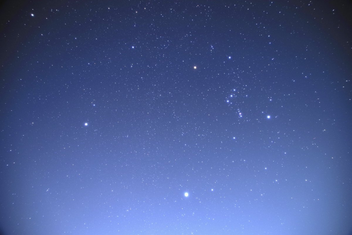 takuya_akiyama's tweet photo. 2024/02/12 19:23-25 #オリオン座 #Orion
#冬の大三角 #wintertriangle
#べテルギウス #Betelgeuse
#シリウス #Sirius
#プロキオン #Procyon
PENTAX K-1/SIGMA 17-50mm F2.8 EX DC HSM
ISO1600,F2.8,露出10秒×10枚
#PENTAX #k1
#PENTAXk1
#SIGMA
#prosofton
#starrynight
#ストロトレーサー3 https://t.co/bYWQ9dkEWS