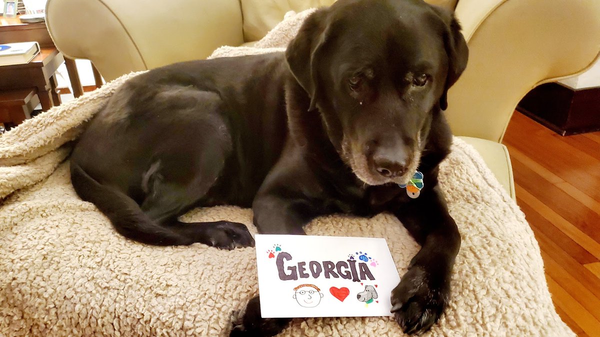 Patrick Masson tweet media