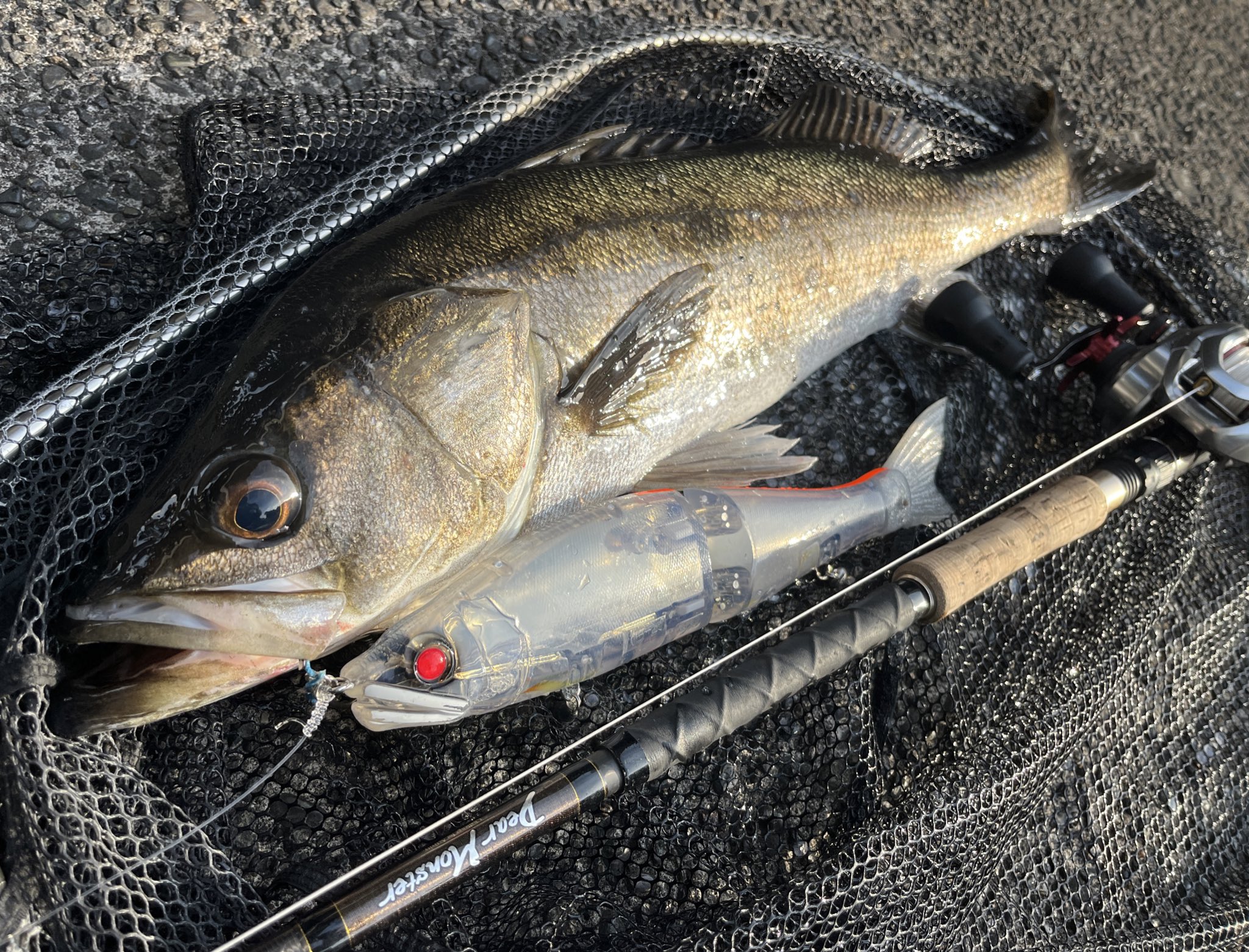 ジャイアントベイト - Search / X