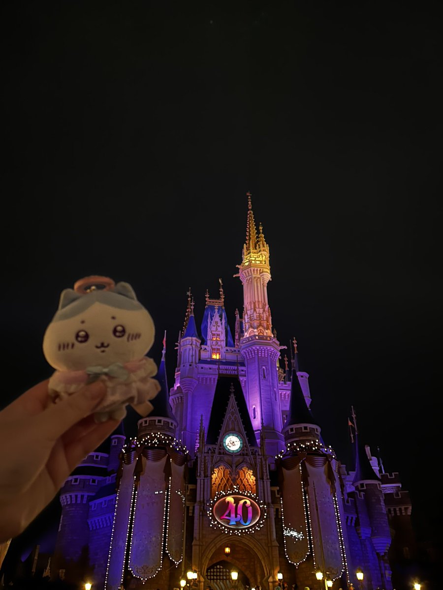 ぽてさらぱけっとでぃっしゅ tweet media