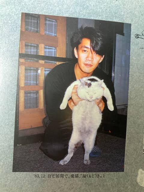 白凰坊 tweet media