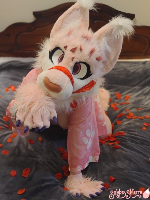 Hope you have a fantastic valentines day, even if you were your own valentine, and are ready to celebrate<a href="/tag/newprofilepic"class="tags"><span>#newprofilepic</span></a>