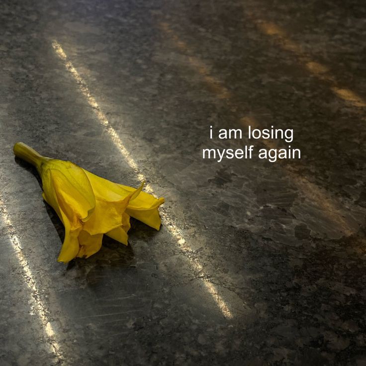 itssadtextmsgs's tweet image. 