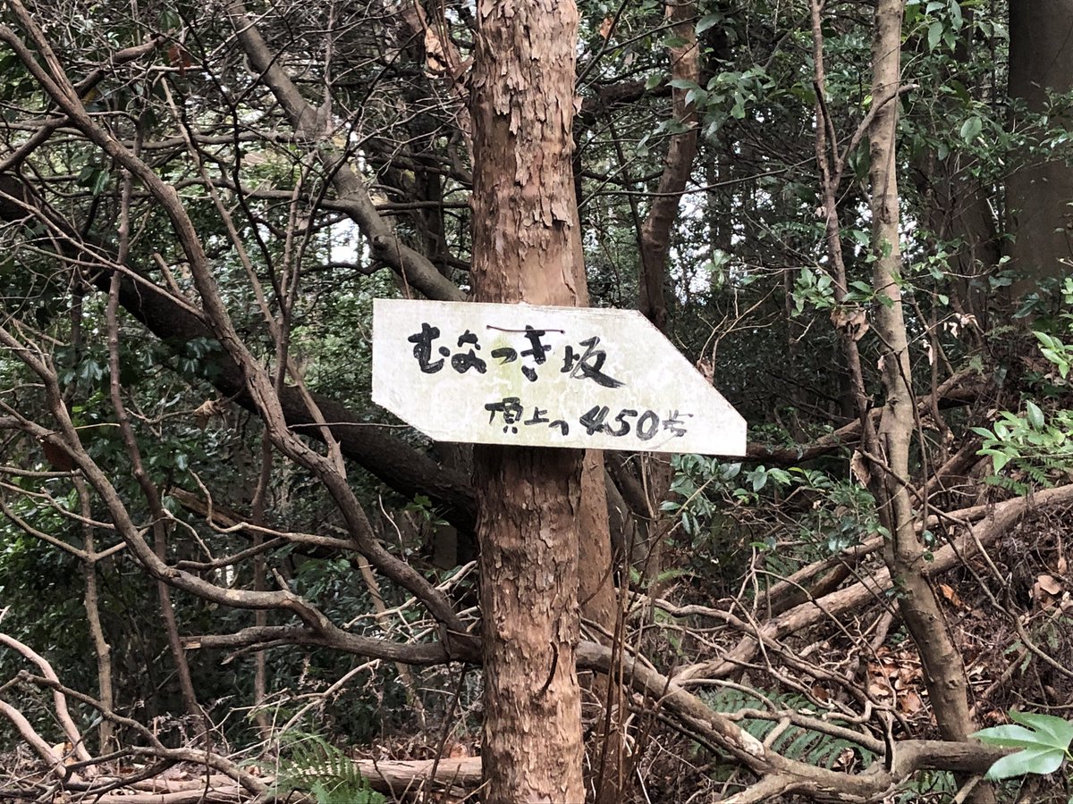 APDS_PR's tweet photo. 頂上へ450歩と書いてあったけど、220歩でこれました。また明日も幸田町でレッスンです☺️
#幸田町　#京ヶ峯 https://t.co/g4eO0e5o2m