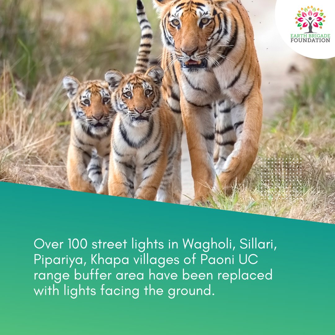 Pench Tiger Reserve was recently declared a Dark Sky Park! Read on to know how these designated areas help prevent wildlife from being affected by light pollution.
#PenchTigerReserve #DarkSkyPark #WildlifeConservation #WildlifeOfIndia #LightPollution #IndianWildlife