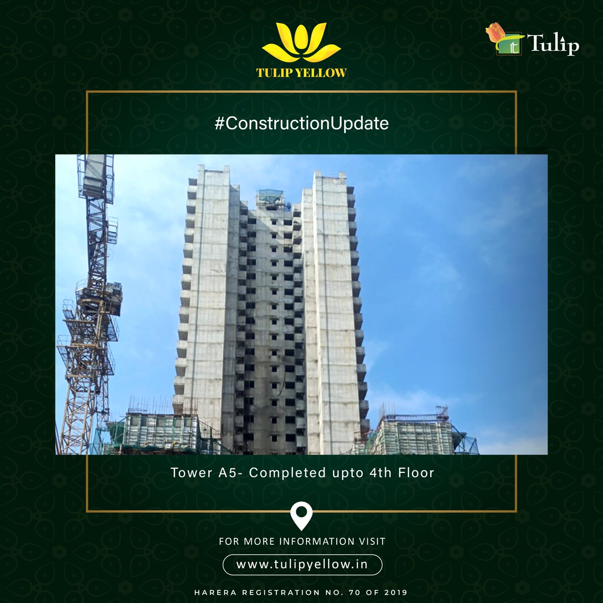 Tulip Group tweet media