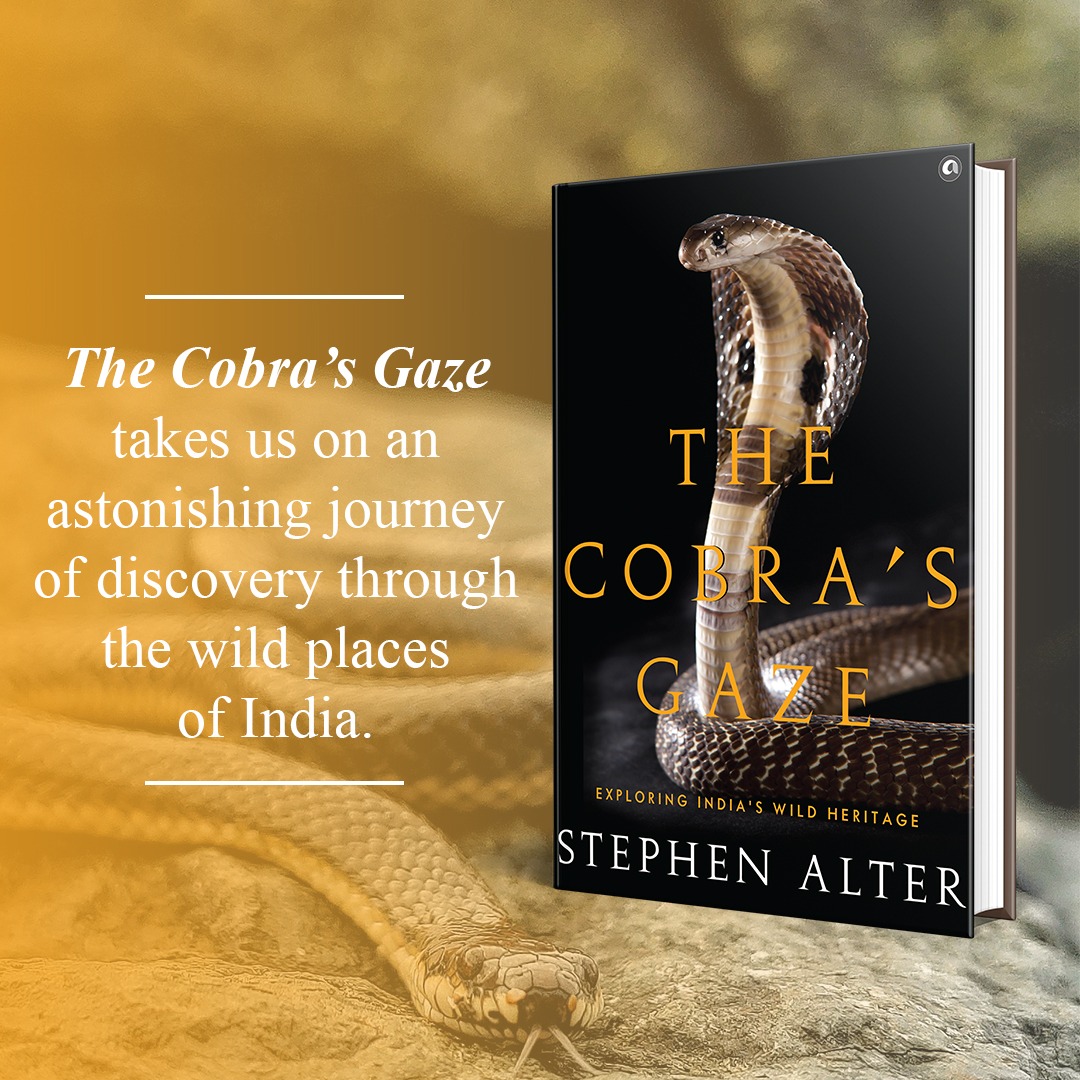 "Wandering through Bhimbetka, I am conscious of the spiritual resonance of nature, the invisible threads that tie us to other forms of life through memory, dreams, and desires. A three-striped palm squirrel scampers up and over a rock, then down the other side, chittering and