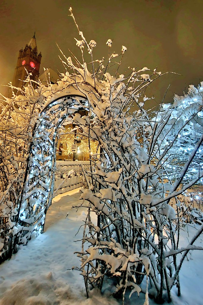 mvinge's tweet photo. 🌨 ❄️ Rice Park, St. Paul, MN. https://t.co/JMehns97K8