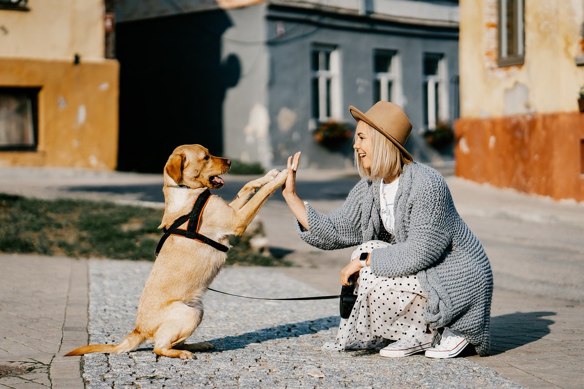 Not all dogs are good boys. Some are good girls! #dogslife #reelsvideo #dogs #dogreels #reelsfb #dogfbreels #fbdogs #fbreelsvideo #cutedogs #cute #dogsvideo #fbreelsvideo #viralvideo #viralreels #dogloversusa