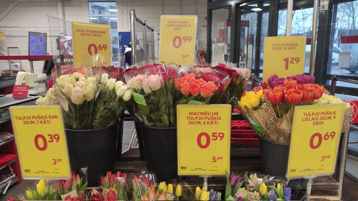 Egitazz's tweet photo. I can buy myself flowers 😆🤣 https://t.co/SgUWmxMi7x