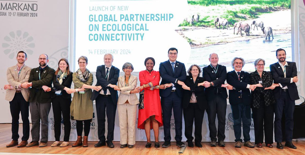 ecogov_uz's tweet photo. 🌐Uzbekistan has launched project on a Global Partnership on ecological connectivity #Connectednature #CMSCOP14
Read on: https://t.co/bcuyKpFUzw
@BonnConvention @fraenkelamy @MumbaMusondam @IUCN https://t.co/rDNUzaAcDE