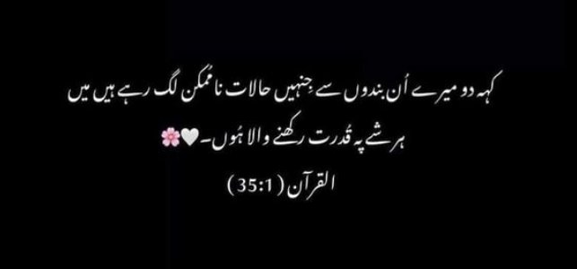 Assalam Alaikum  
Good Morning "X" Family ❣️