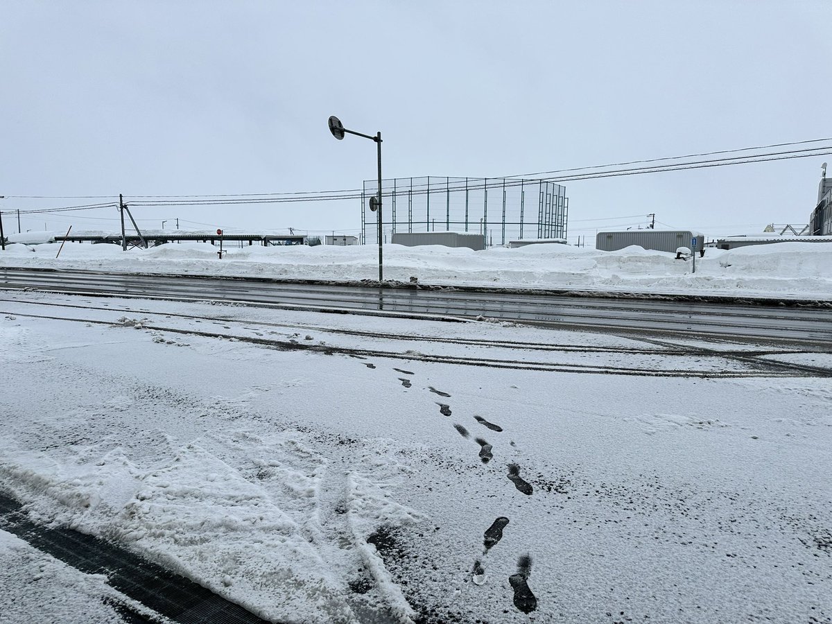 【管理人通信】
昨日中に壁のようにあった雪山が排雪されたようです！！
写真は本日の午前中。うっすら積もった雪も昼には溶けてるでしょう☃️
駐車スペースは広ろーいです。
今月も折り返し、暖かくなったり寒くなったりしますが体調管理にご留意くださいね✌️
#ノムラハウス　#管理人のつぶやき
#排雪