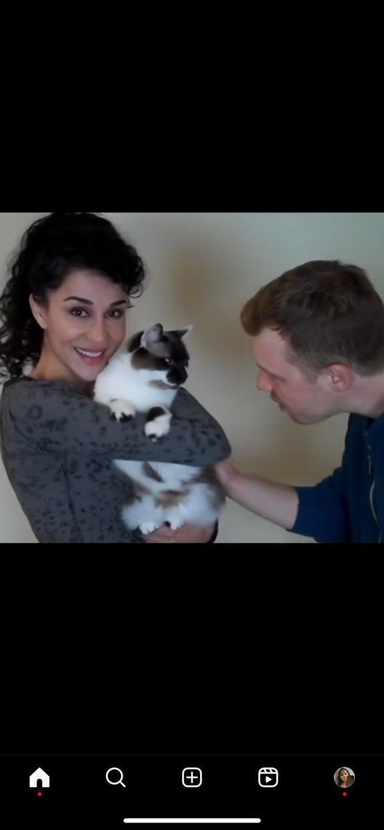 Layla Alizada Fan tweet media