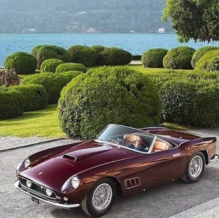 Shield_Ferrari's tweet photo. Ferrari 250 GT California Spyder (1957) 🇮🇹
#Ferrari #ferrari250gt #ferrariclassic #scuderiaferrari #ferrarisportscar #ferraripassion #ENZOFERRARI #CavallinoRampante #italy #ItalianSupercar #classiccars #classicsportscar #supercars #design
@Ferrari
@FerrariMexico
@ItaliAuto https://t.co/TiwtphzHcK