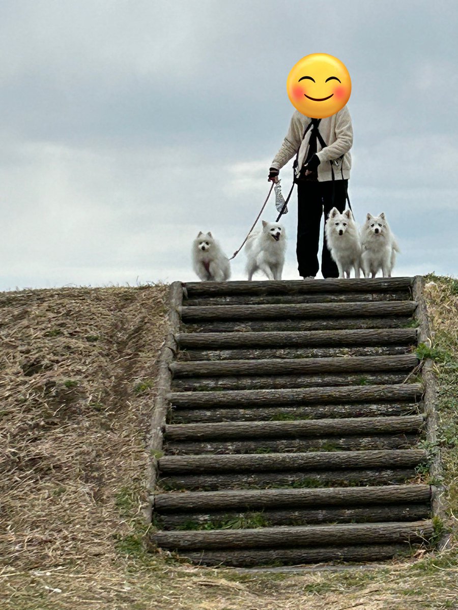 t10o58's tweet photo. おぉ〜🤩
一人怪しいけど、ほぼみんなカメラ目線😁
 #日本スピッツ https://t.co/cqhsYpFNlG