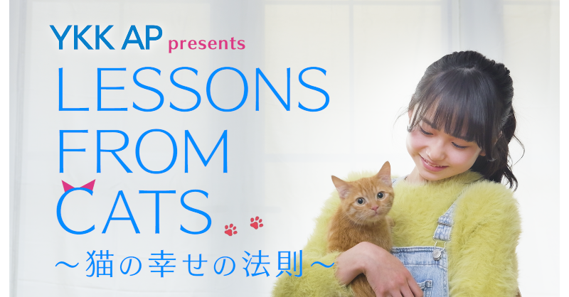 BS7ch_PR's tweet photo. 今日🐱2月22日(木)は
\#BSキャッ東 猫の日2024/
今年も猫まみれな編成🐾
12時56分 #うちのコ知りませんか?
14時56分 #港猫
15時30分 #るるるルーム
15時55分 #レンタネコ
18時 #ネコにゃん
18時58分 #オールねこ感謝祭
19時52分 #LESSONSFROMCATS
19時58分 #ネコにゃん
21時 #猫の幸せ私の幸せ