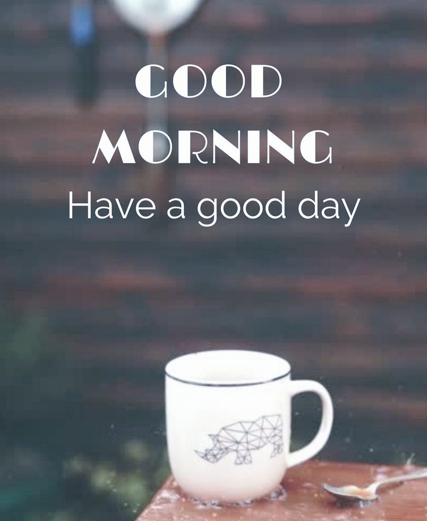 ¶¶Laiba Ki Tweets ¶¶™ 🦋🌼 tweet media