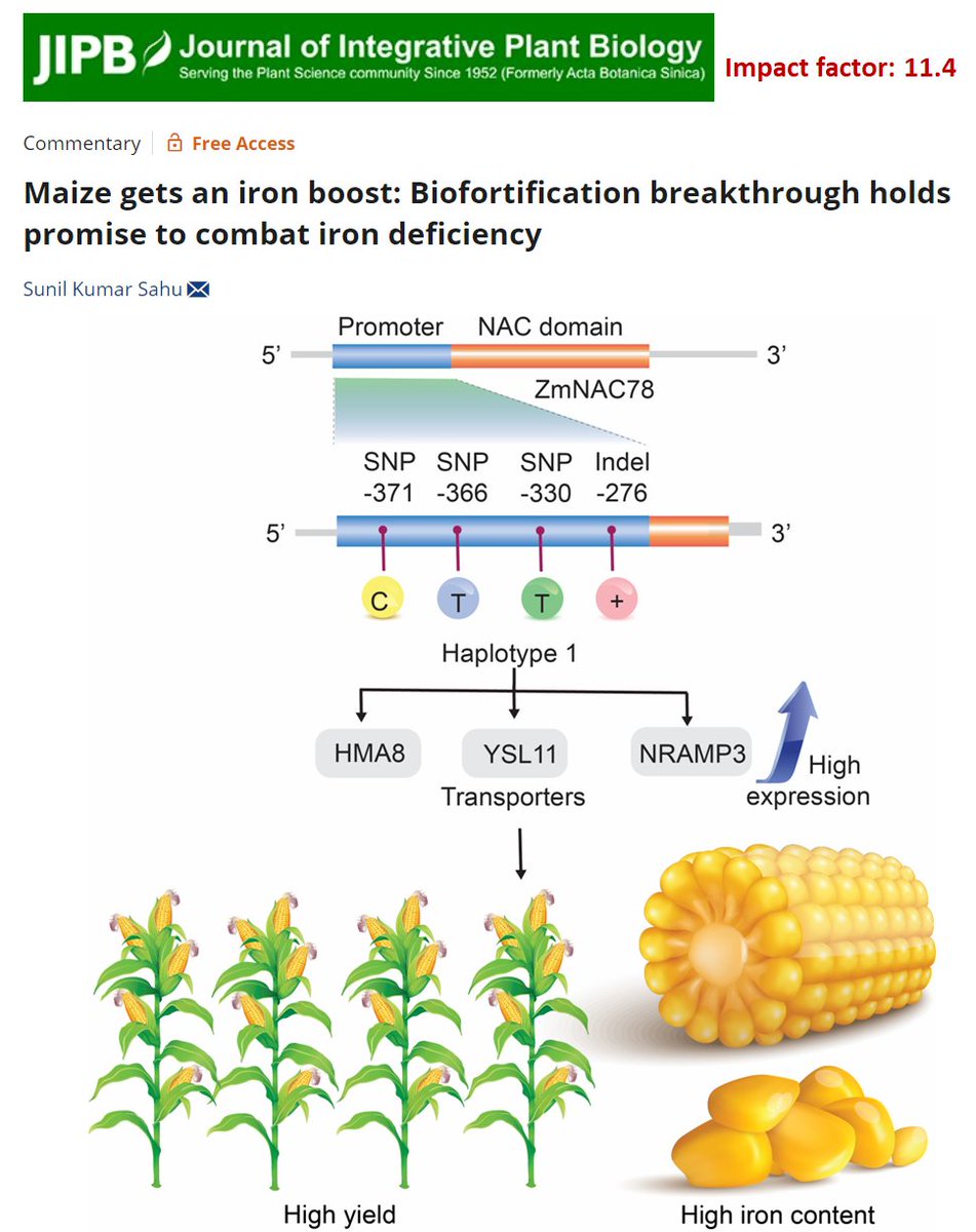 Sunil Kumar Sahu tweet media