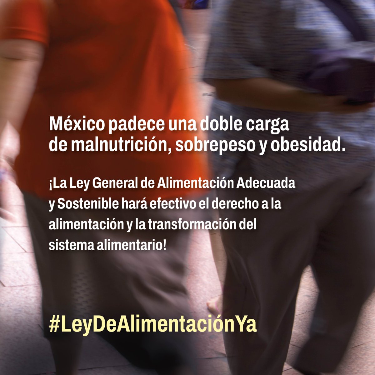 actuaporlasalud's tweet photo. La #LeyDeAlimentaciónYA representa un paso fundamental hacia sistemas alimentarios justos y sostenibles en México.

Urgimos a @Mx_Diputados a aprobarla sin cambios, ya que protege el derecho a una alimentación adecuada y promueve la participación social.

#VotaLeyDeAlimentaciónMx https://t.co/PRtCjbX0dR