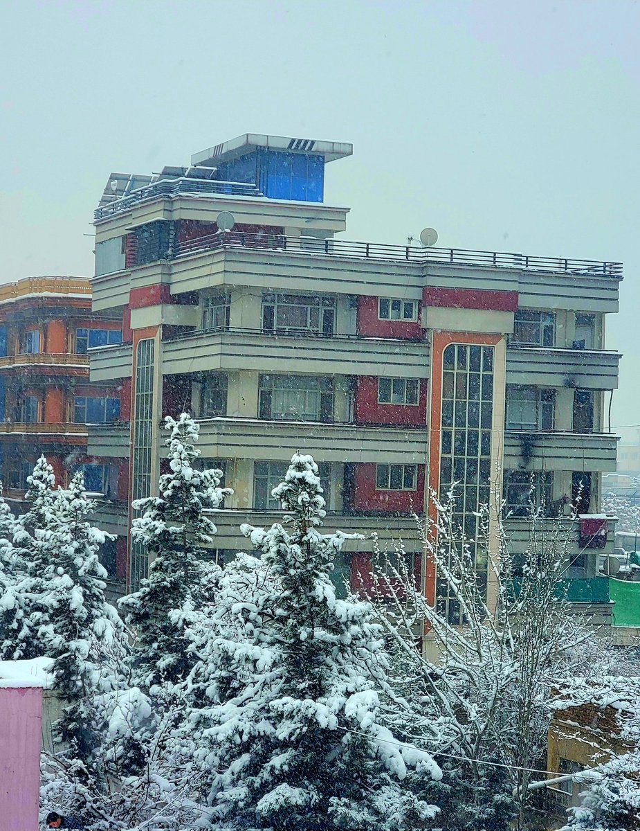 Snowy Kabul. 🌨 📸: Me