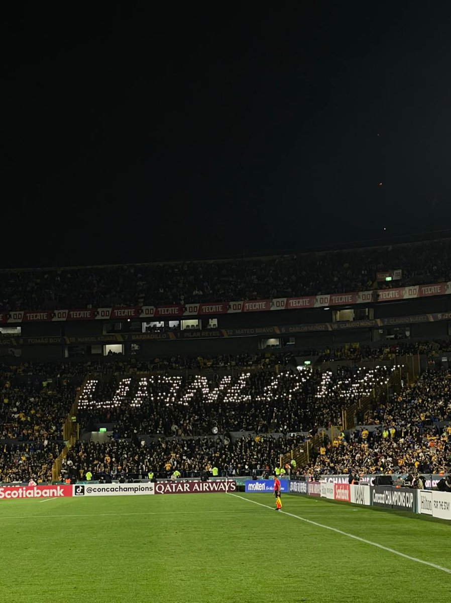 LIBRESYLOKOS's tweet photo. Un amor puro y sinceró a @TigresOficial yo lo quiero. Nos vamos a 8vos de final. 🐯 https://t.co/vmILsszV6I