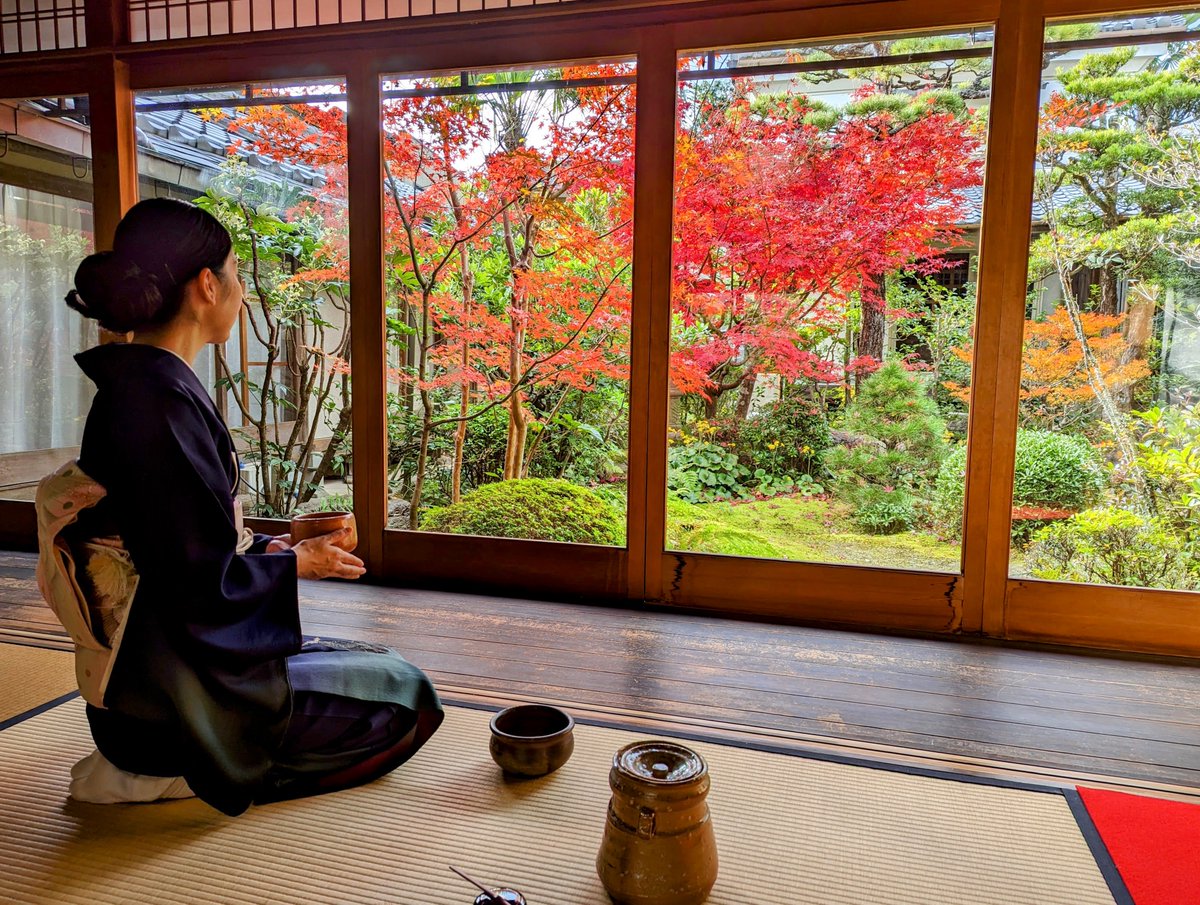 camelliakyoto's tweet photo. 🎎🍵CAMELLIA TEA CEREMONY🌺🍡
The calm, cold, quiet days of winter are almost over, and the fragrant plum blossoms herald warmer days ahead.

Before the trickle of visitors becomes a flood, let me  take the time to show you around our teahouses, &amp; explain what services we offer🙇‍♂️ https://t.co/N9U3NDDQpz
