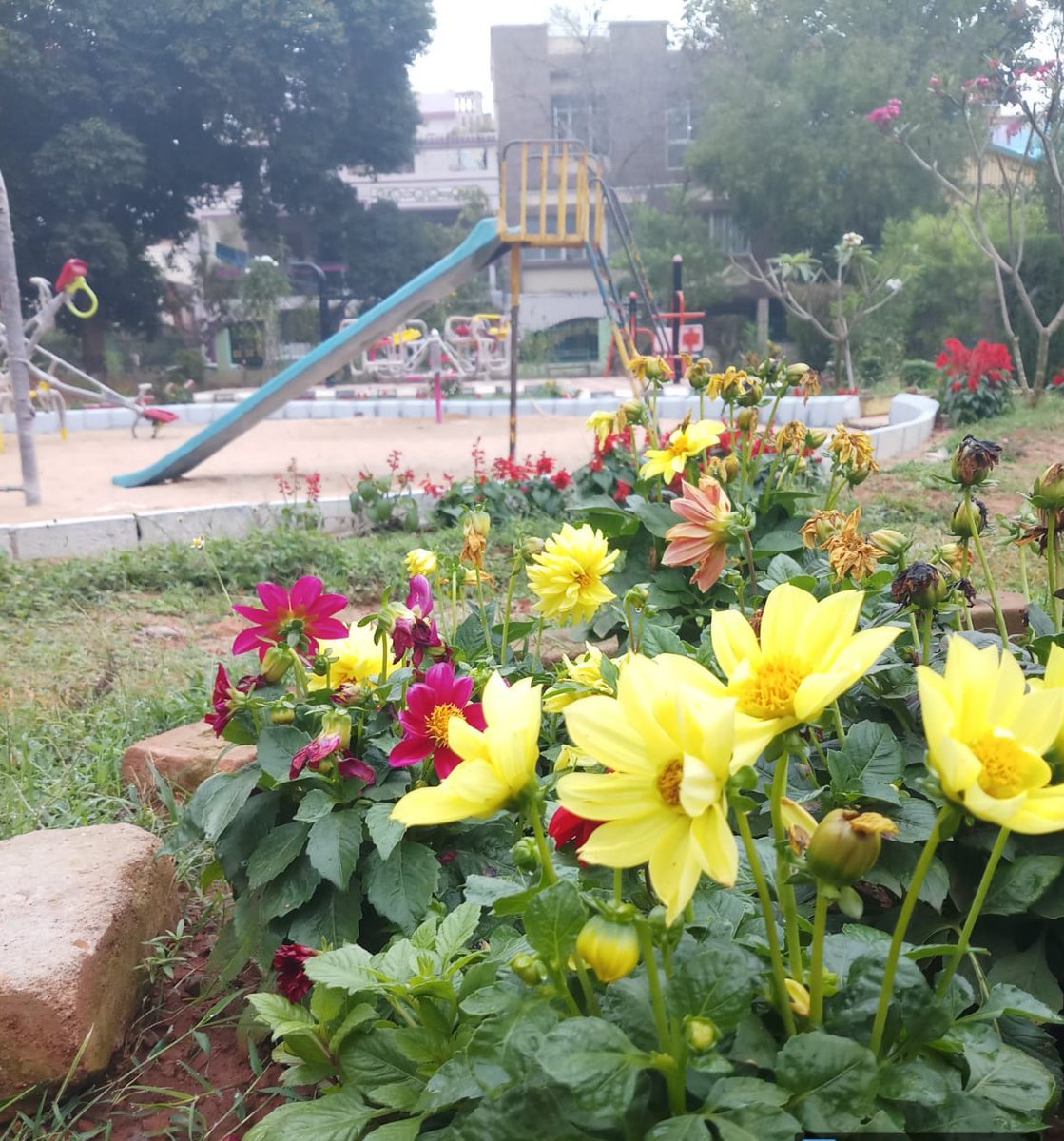 bmcbbsr's tweet photo. The Parks of the city are maintained properly ensuring a fresh & healthy environment for the citizens to perform their fitness activities.
#VisitParks
#BMCParks https://t.co/g5MUc0df6G