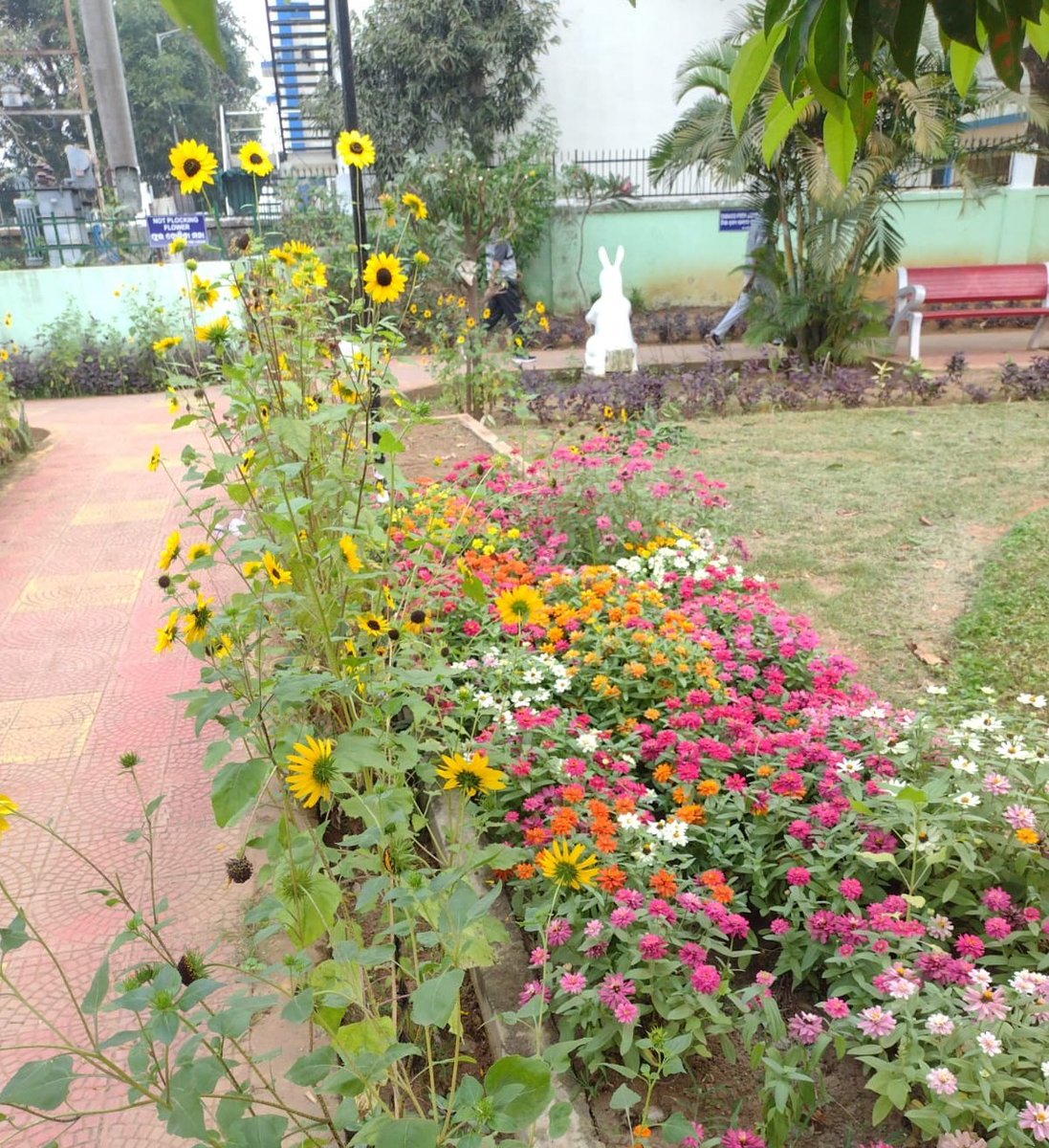bmcbbsr's tweet photo. The Parks of the city are maintained properly ensuring a fresh & healthy environment for the citizens to perform their fitness activities.
#VisitParks
#BMCParks https://t.co/g5MUc0df6G