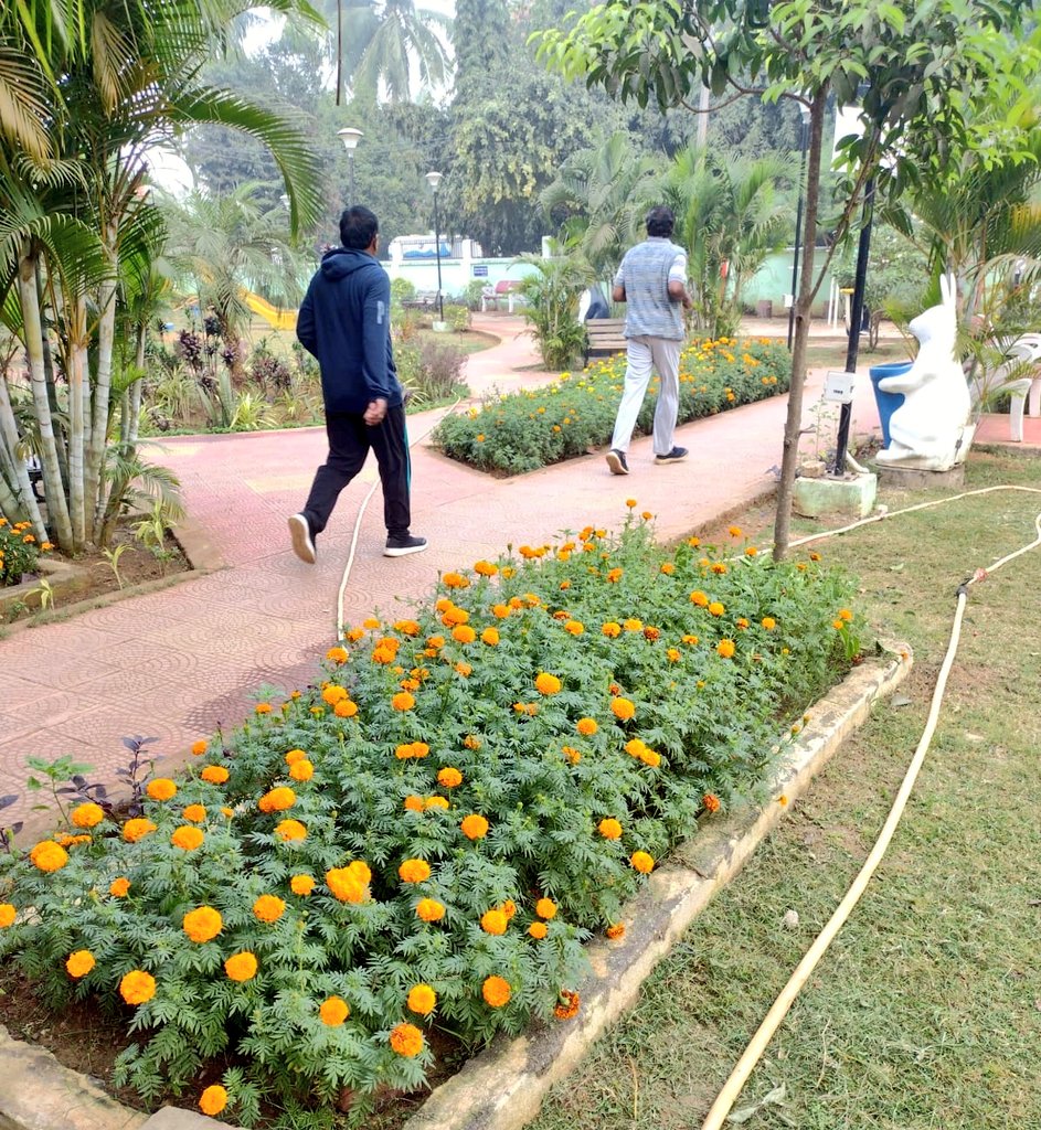 bmcbbsr's tweet photo. The Parks of the city are maintained properly ensuring a fresh & healthy environment for the citizens to perform their fitness activities.
#VisitParks
#BMCParks https://t.co/g5MUc0df6G