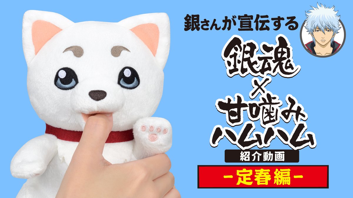 商品】 ／ 銀さんが宣伝する「銀魂×甘噛みハムハム」動画公開