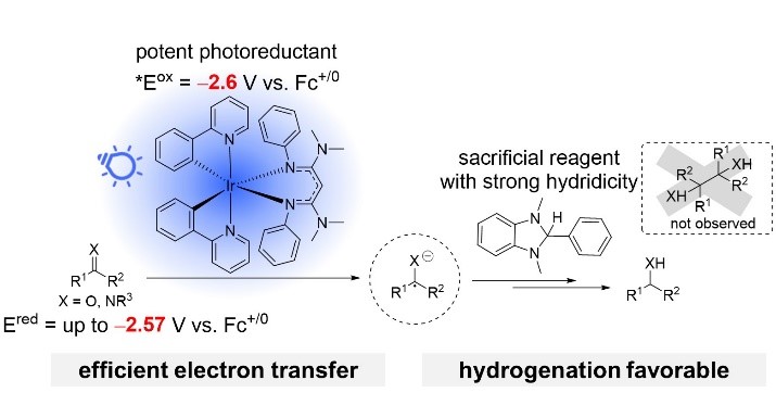ProfTeetsTweets's tweet photo. I don't know if the world needs another way to hydrogenate polar double bonds, but here's a cool photoredox method for ketones, aldehydes, and imines pieced together by @VinhDang96. Soon to appear in a special photochemistry issue of @Orgmet_ACS.  https://t.co/Fzm4I4DUXP https://t.co/rwRbPbKNUQ