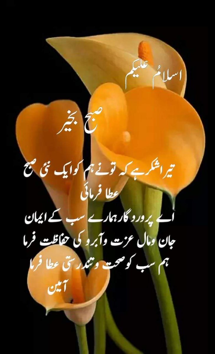 BabarQadeer7's tweet photo. https://t.co/eQ70Zd1gAy