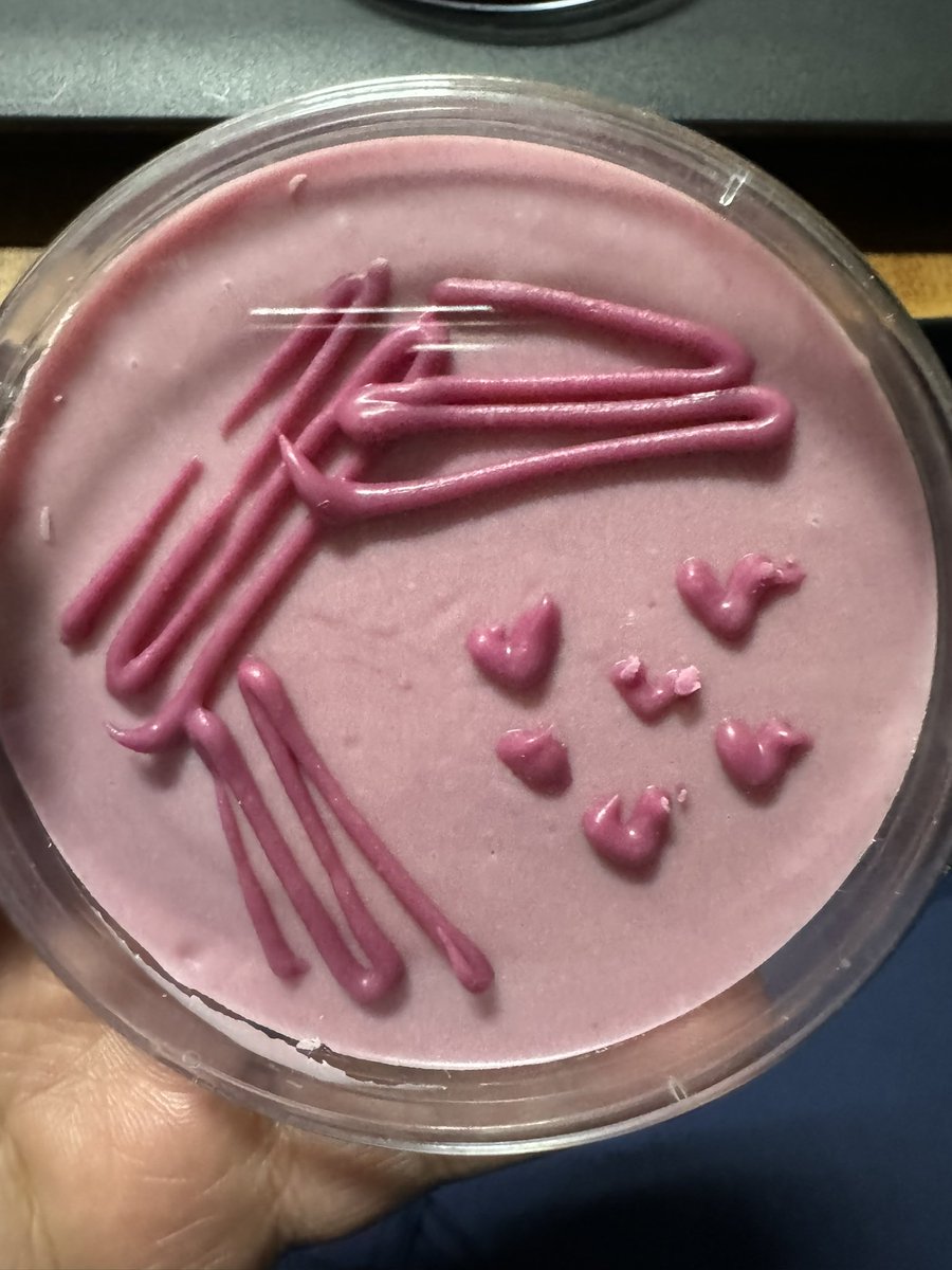 Mr MaldiTof✨️🧫🧬🤠 tweet media